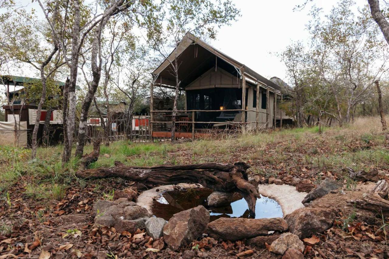 Isambane Camp Lodge Balule Game Reserve