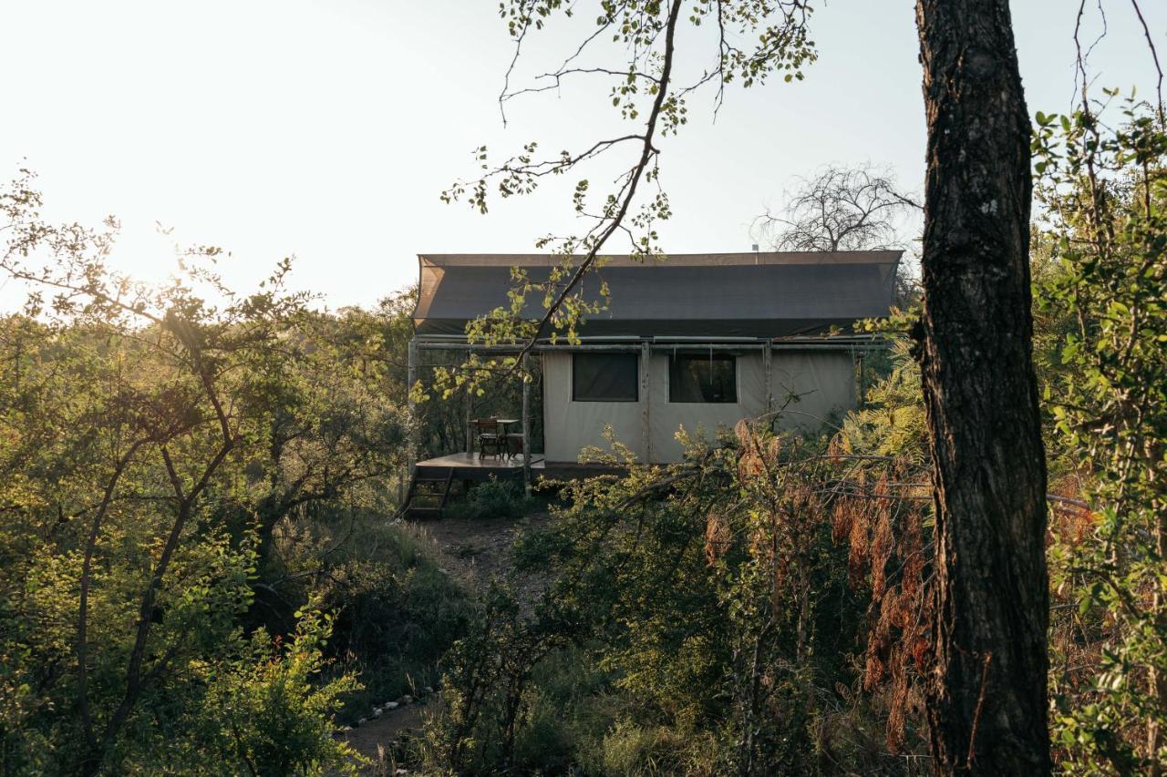 Isambane Camp Balule Game Reserve